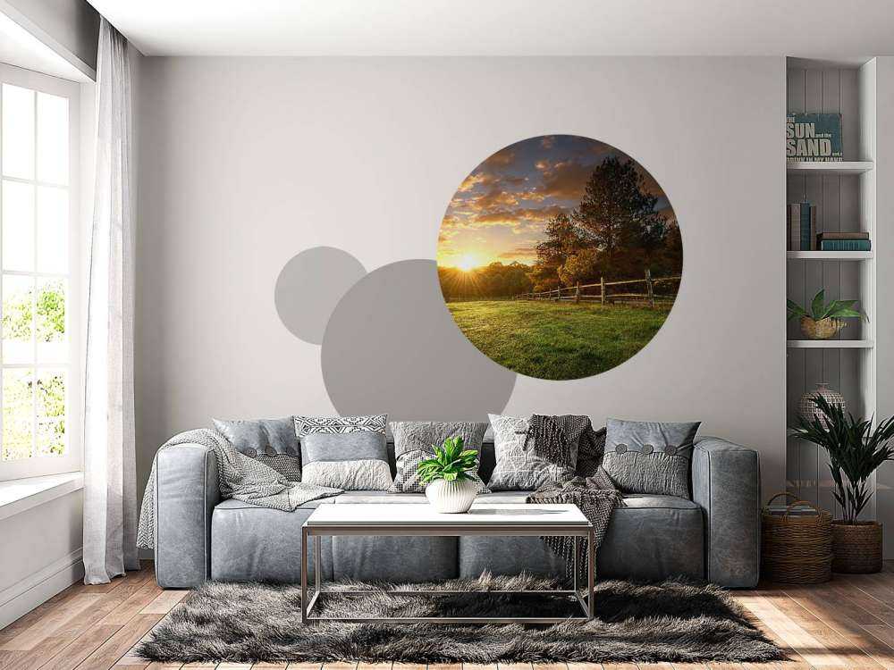 Pasture at sunset
