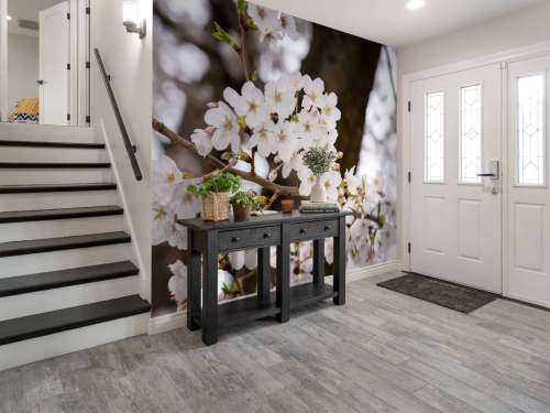 White blossoms