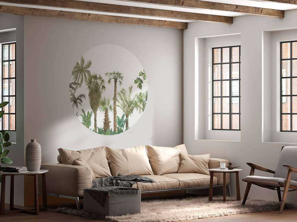 Tropical trees and plants