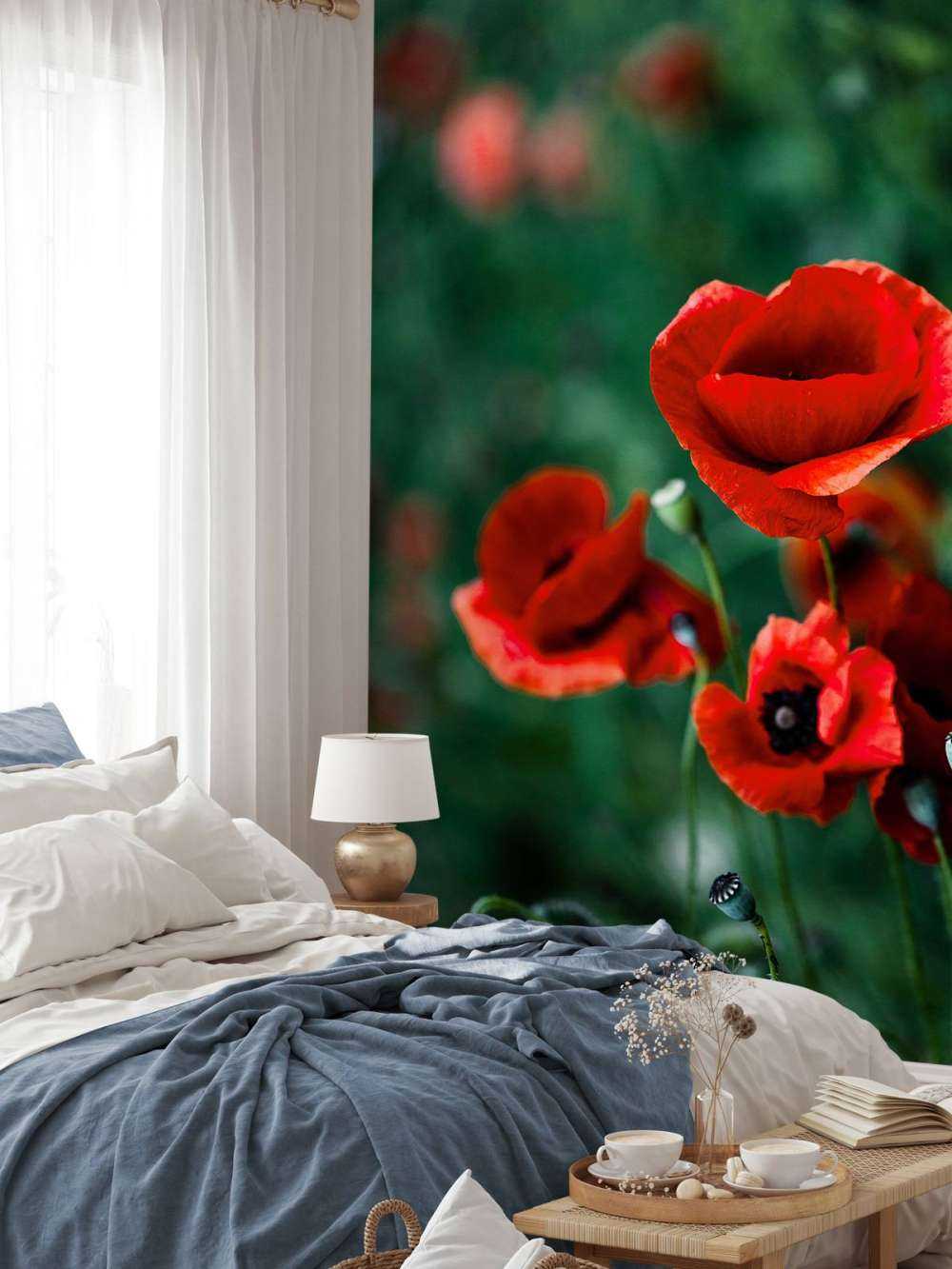 Poppies and grass