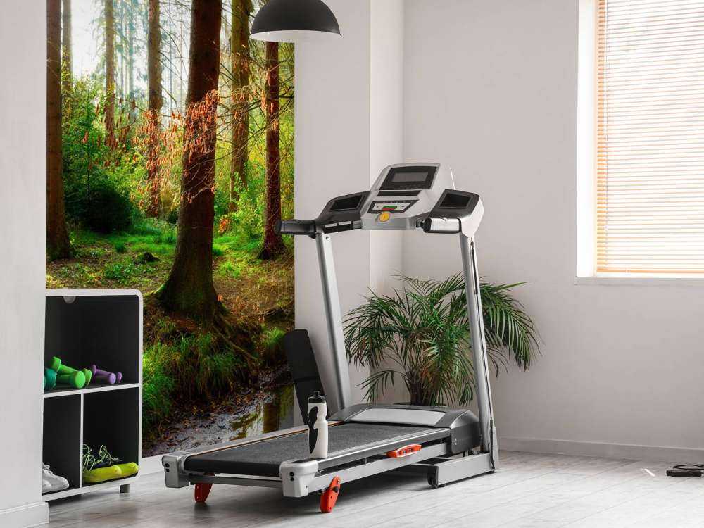 Autumn forest with bright sunlight