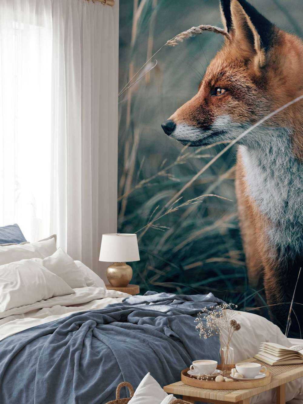 Fox in the dunes