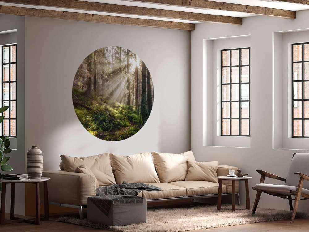 Autumn forest with sunshine