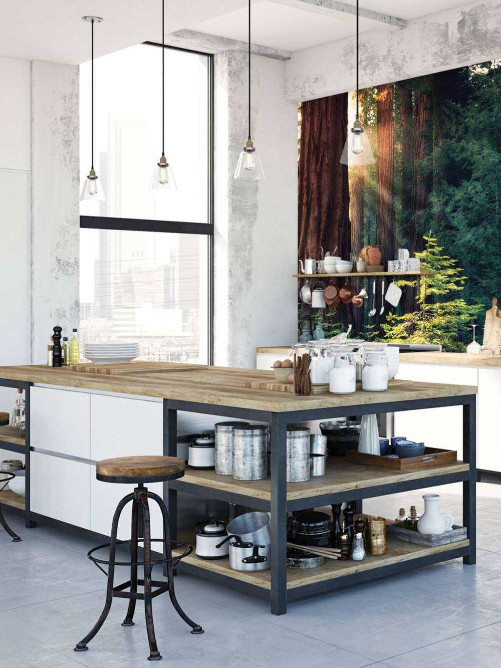 Sunlight between the mahogany trees