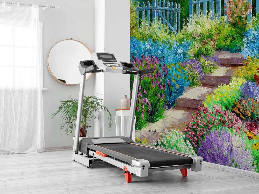 Summer Flowers at the garden