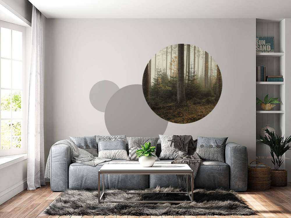 The Kaufunger forest