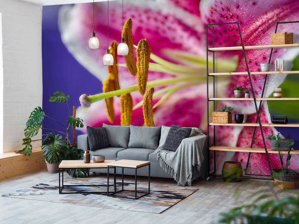 Close-up pink flower