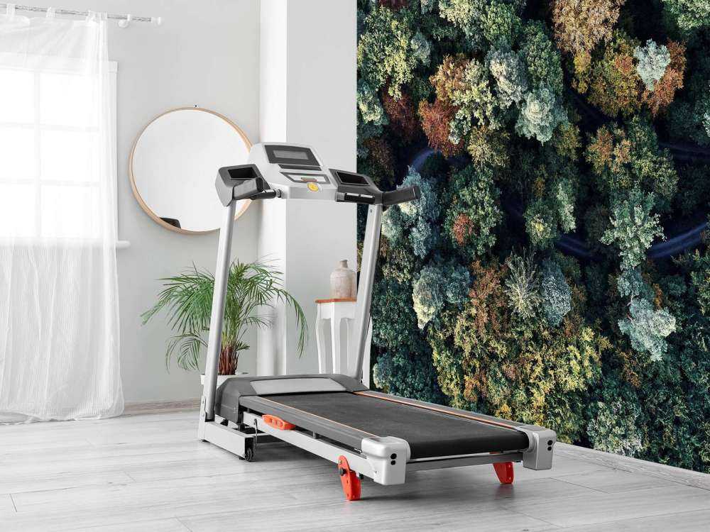 Autumn forest from above