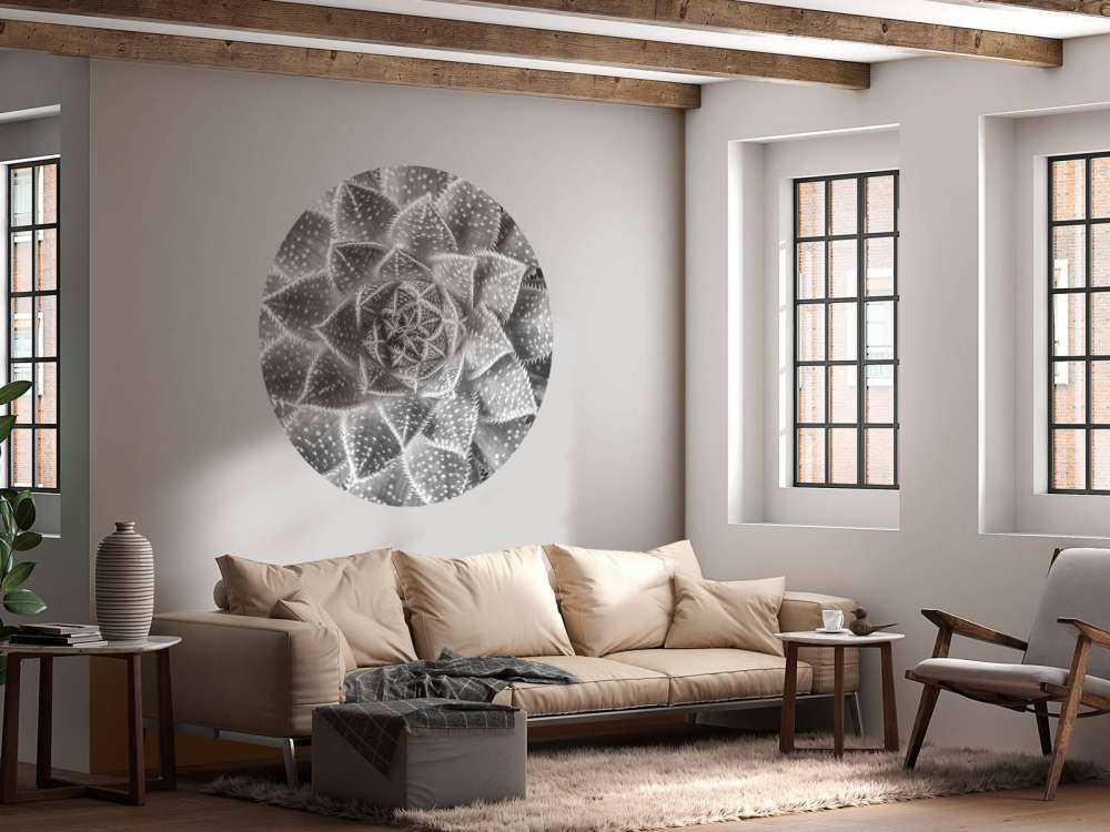 Succulent in black and white