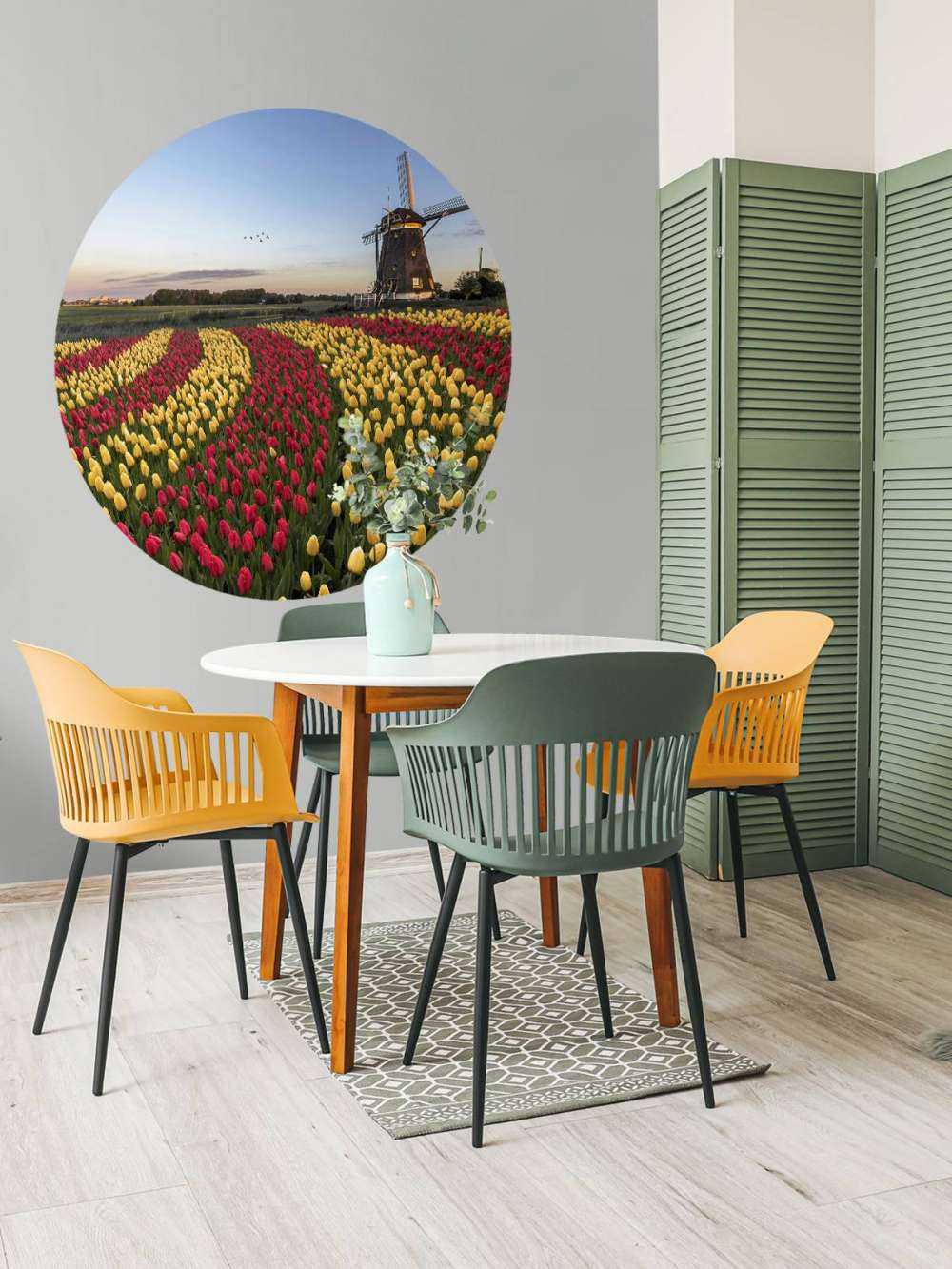 Dutch tulip field