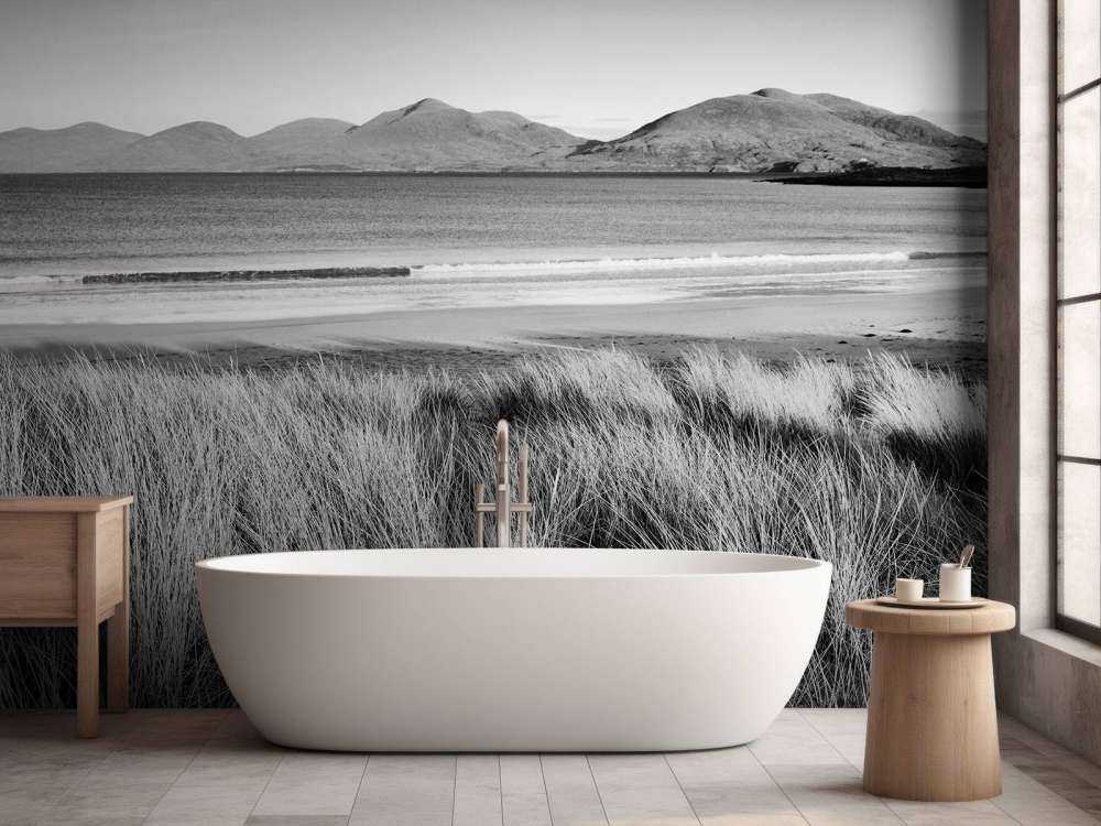 Marram grass, beach and mountains