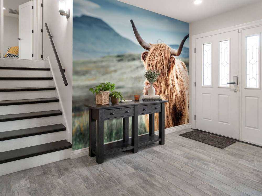 Scottish Highlander in the hills