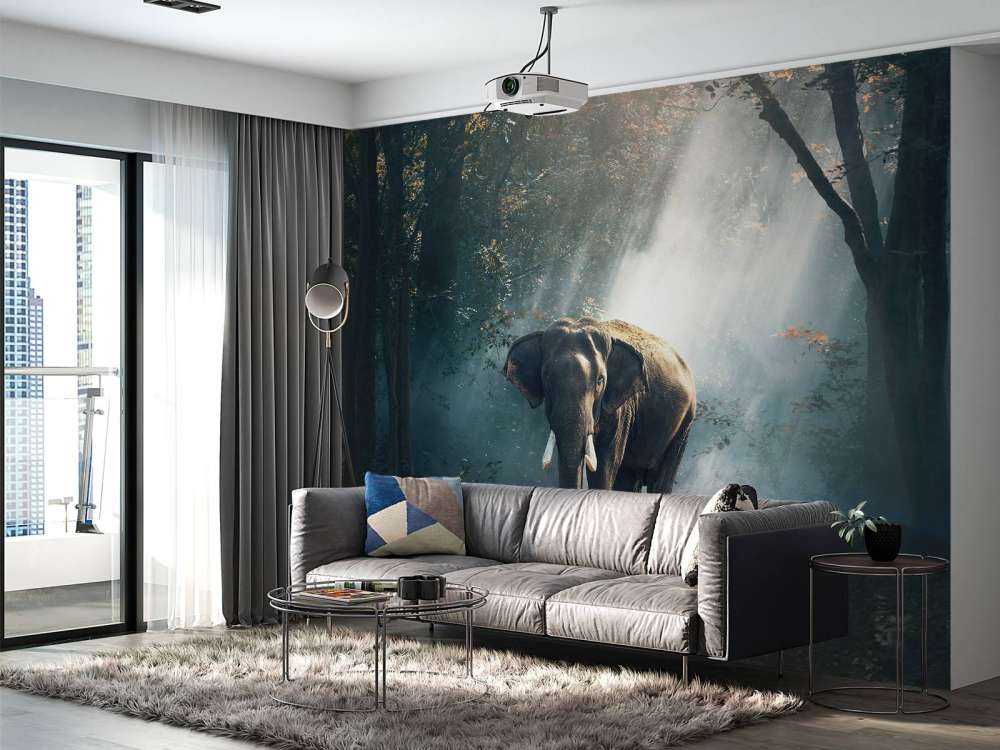 Elephant in a jungle