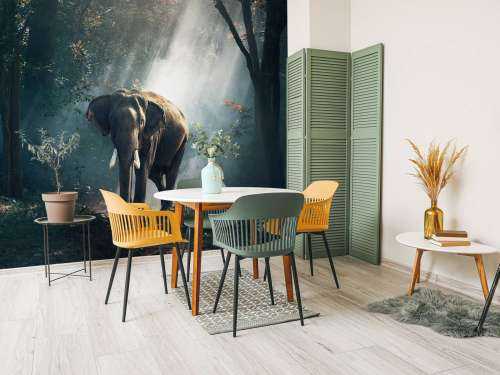 Elephant in a jungle