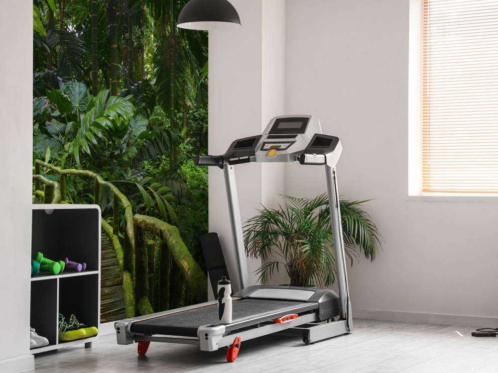 Narrow jungle bridge