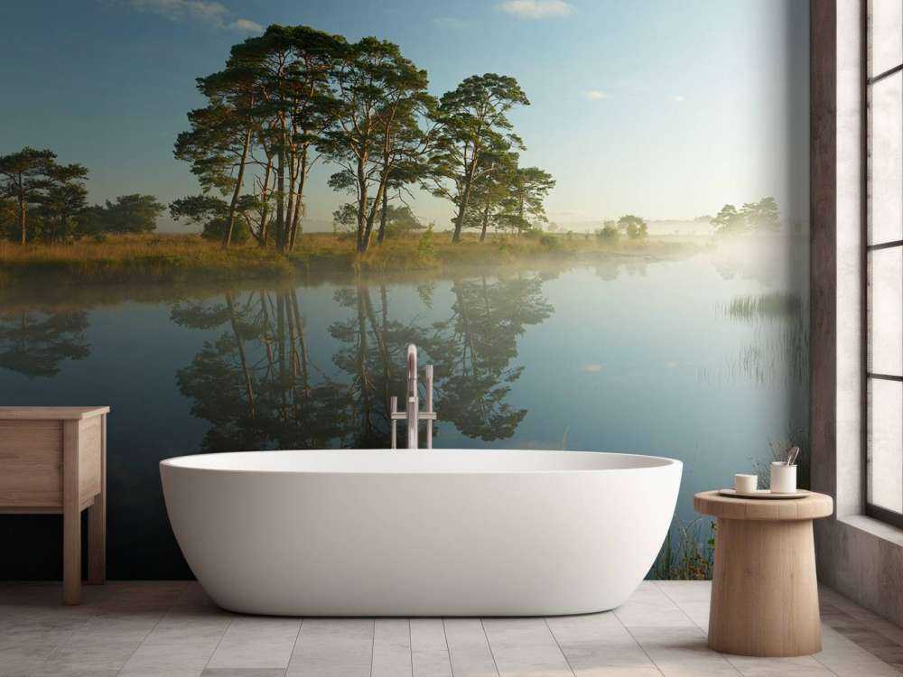 Reflection in moorland