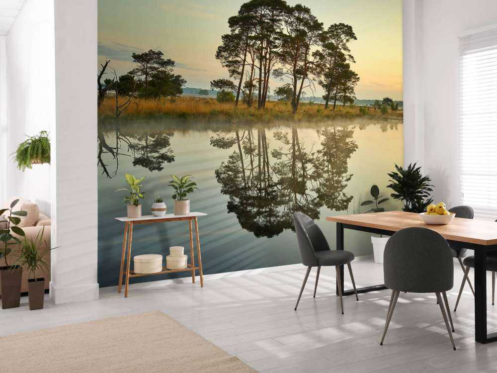 Reflection in woodland veins