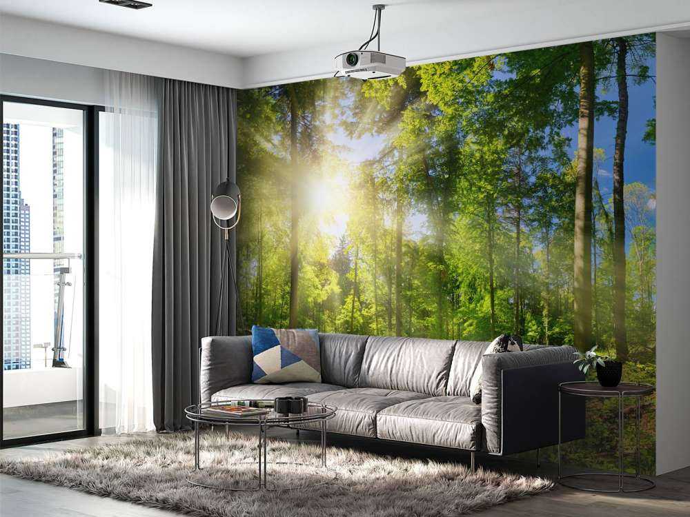 Forest with sunbeams