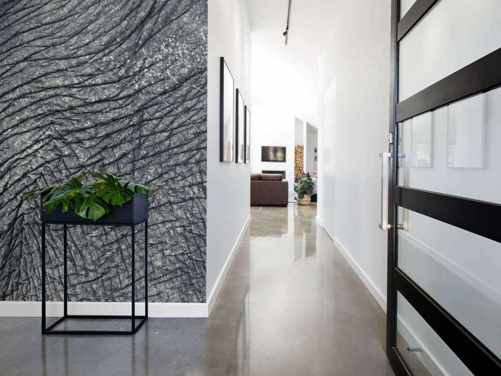 Close-up elephant skin