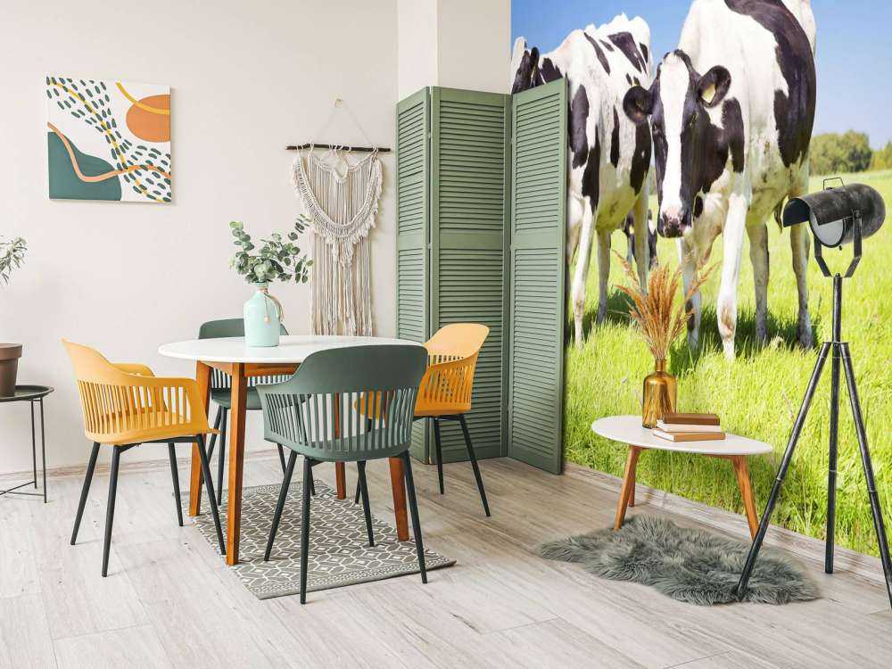 Photo wallpaper cows