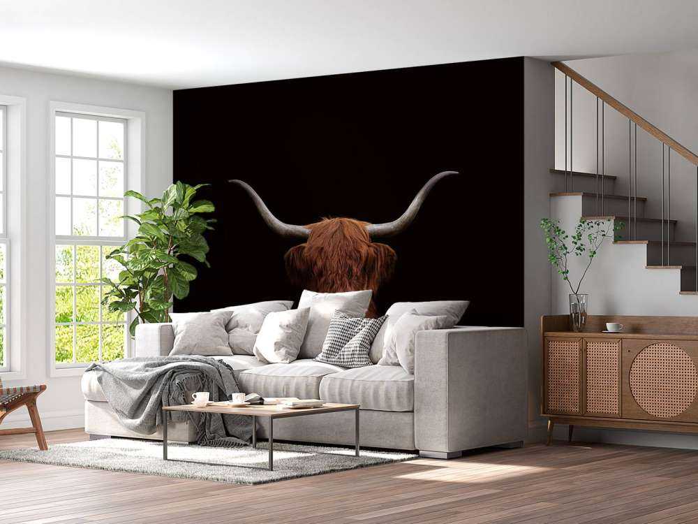 Scottish Highlander on dark background