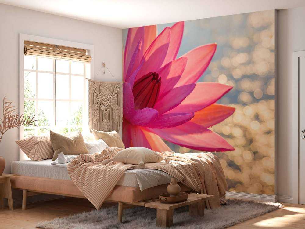 Lotus flower on water