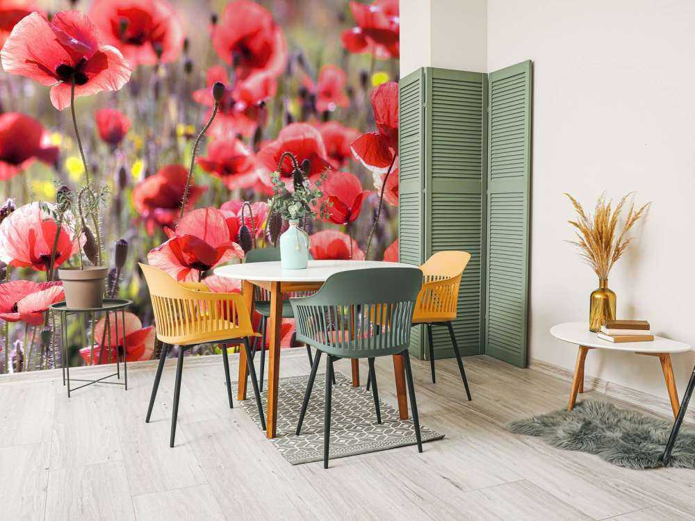 Poppies with vintage look