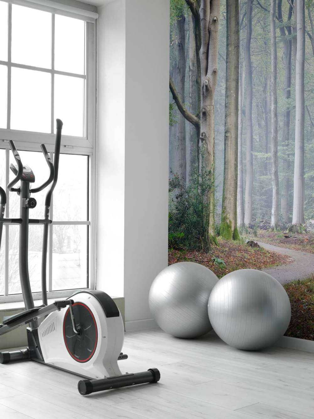 Path through the forest