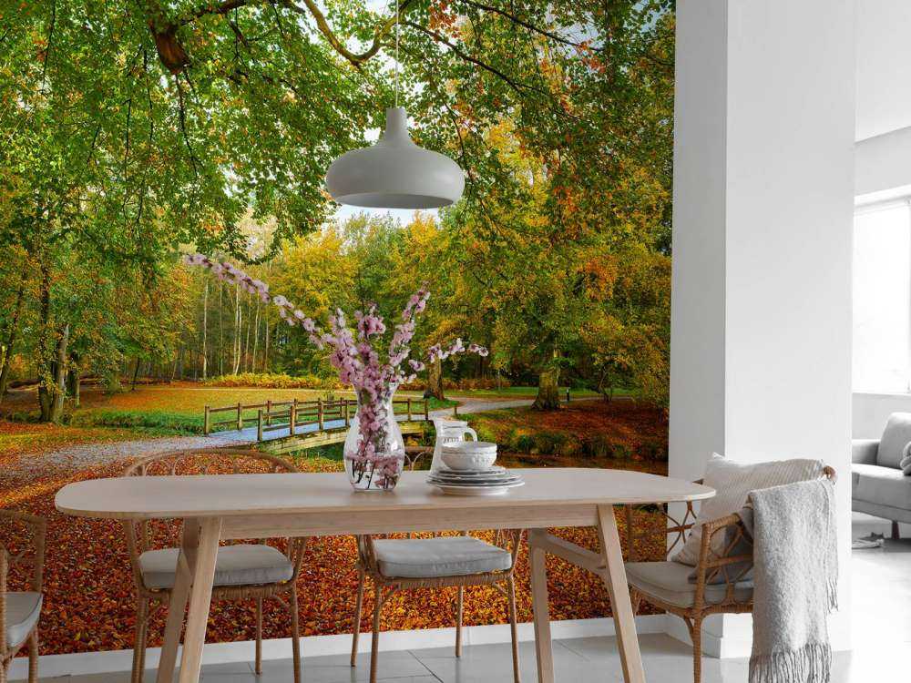 Bridge in the large forest