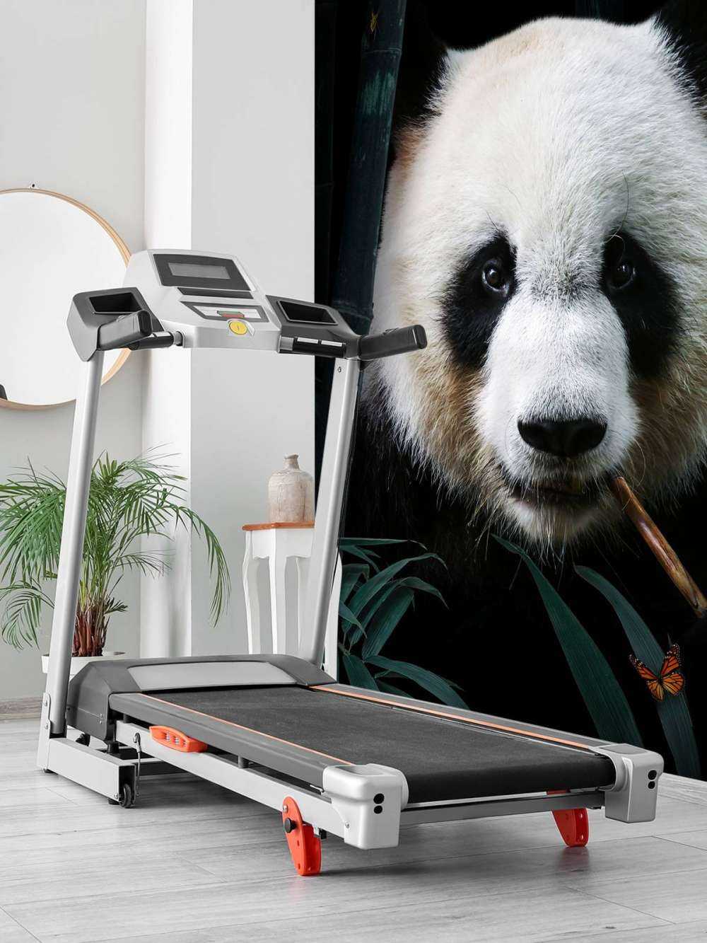 Panda Portrait