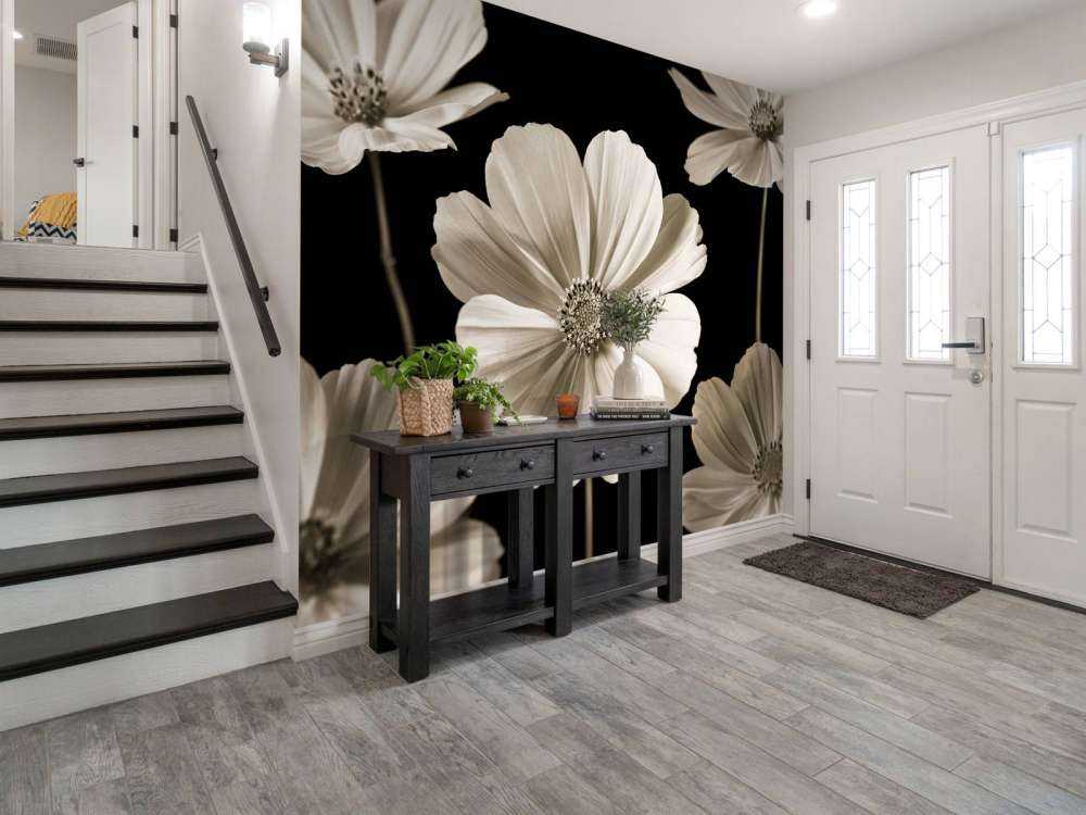 Multiple Cosmos flower