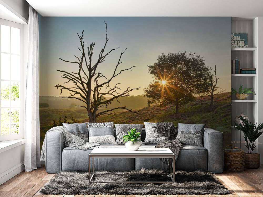 Rising sun on the heath