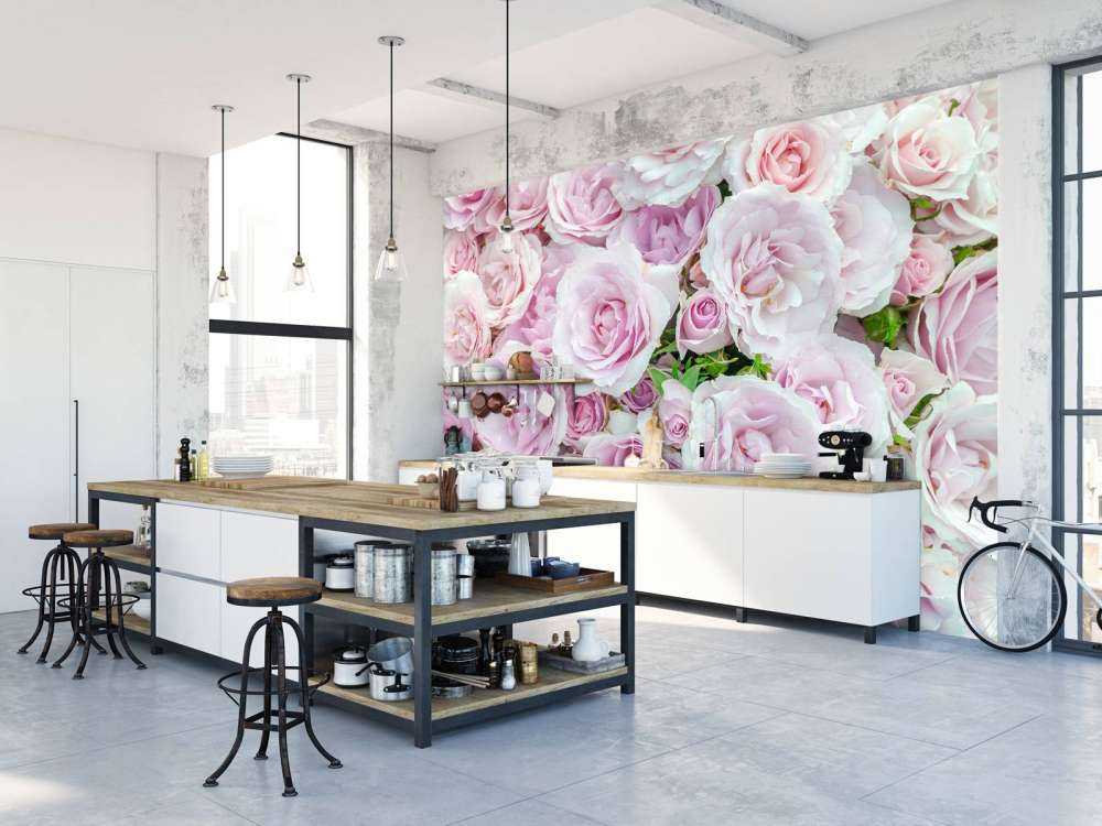 Colorful white and pink roses