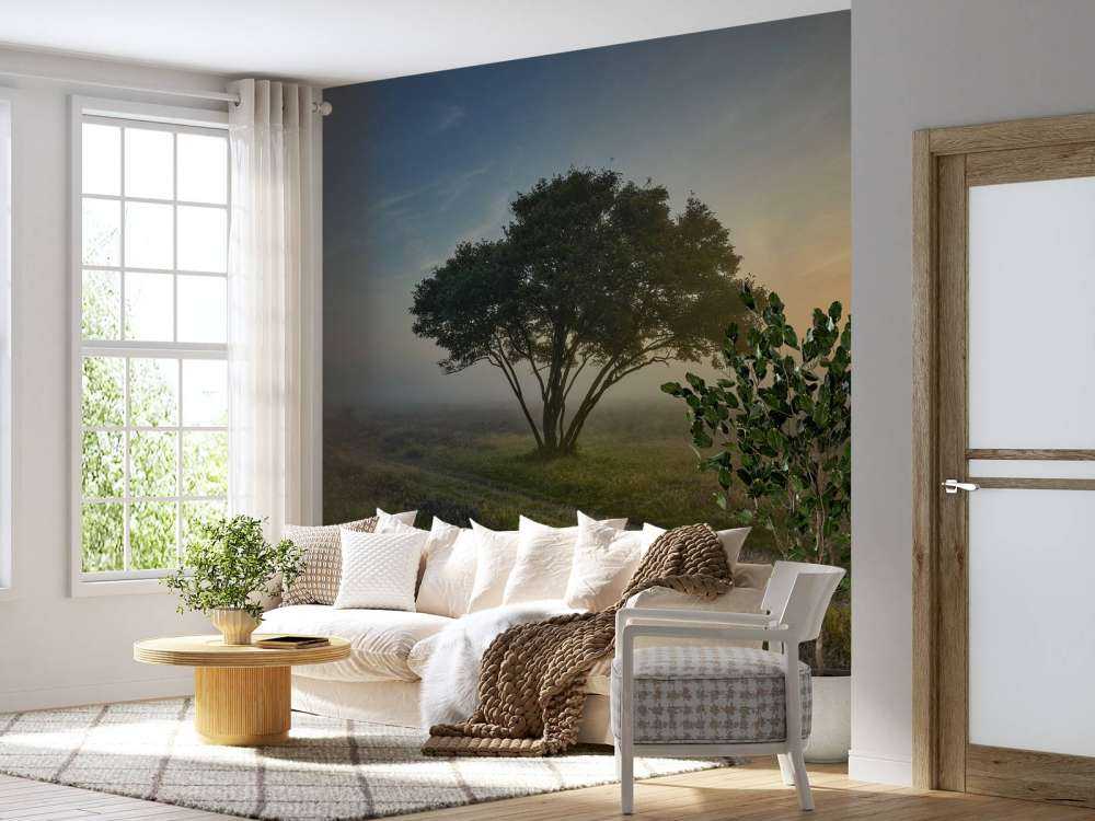 Sunrise on the heath