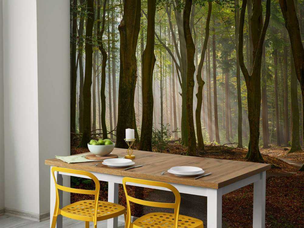 Sun rays at path through the forest