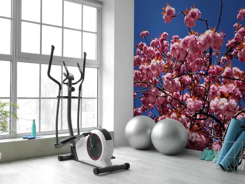 Pink blossom with blue sky