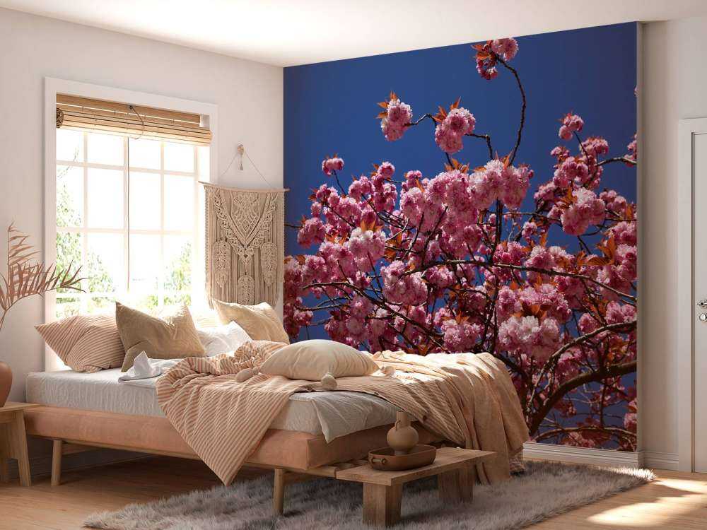 Pink blossom with blue sky