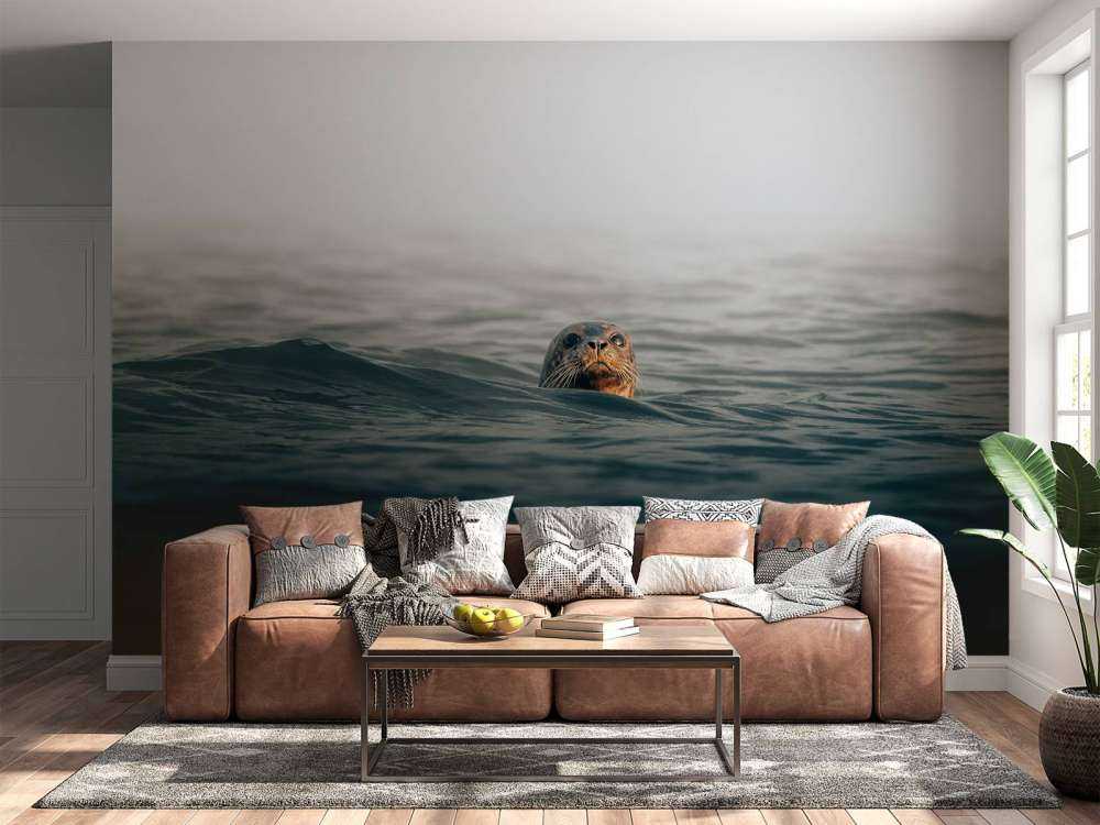 Seal off Danish coast