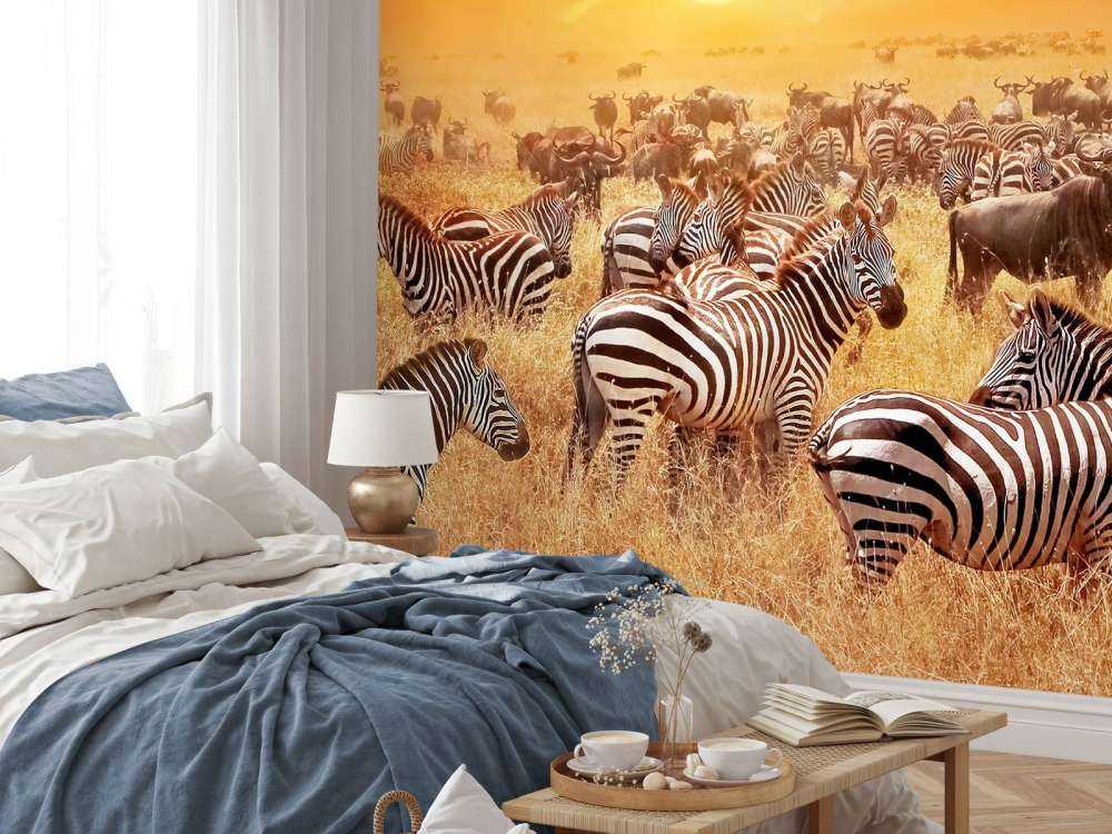 Savanna sun with zebras