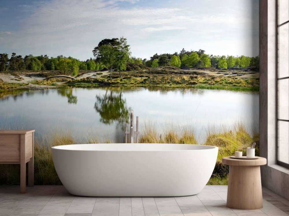 A small forest lake in the heathland area