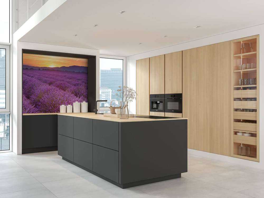 Field full of lavender