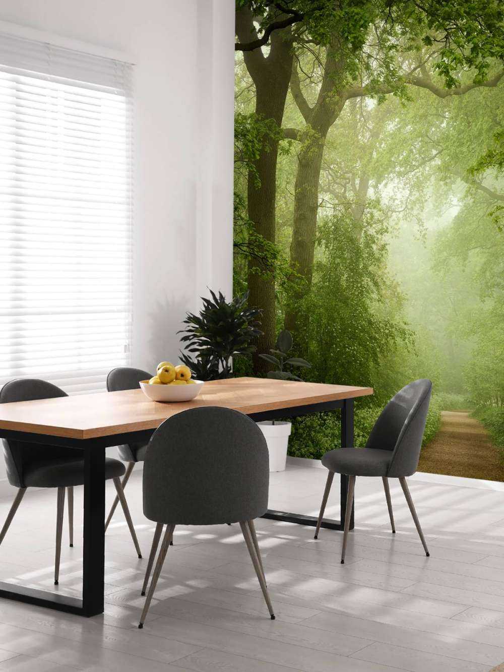 Forest path in the mist