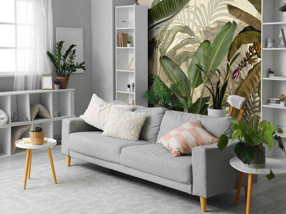 Plants in the jungle