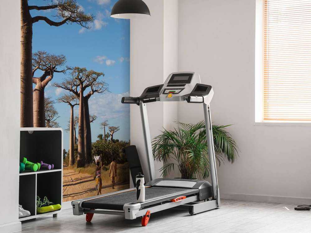 Baobab trees