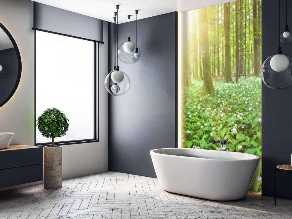 Wild forest at sunrise