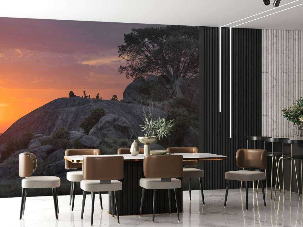 Sunset over the savannah