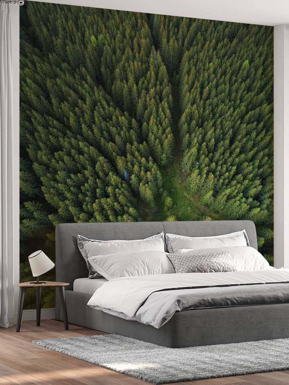 Pine forest from above