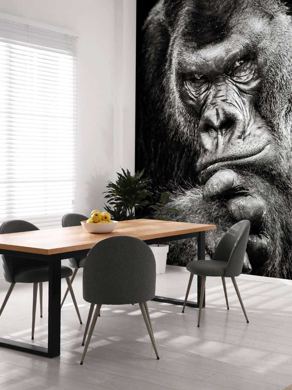 Close-up picture of a gorilla