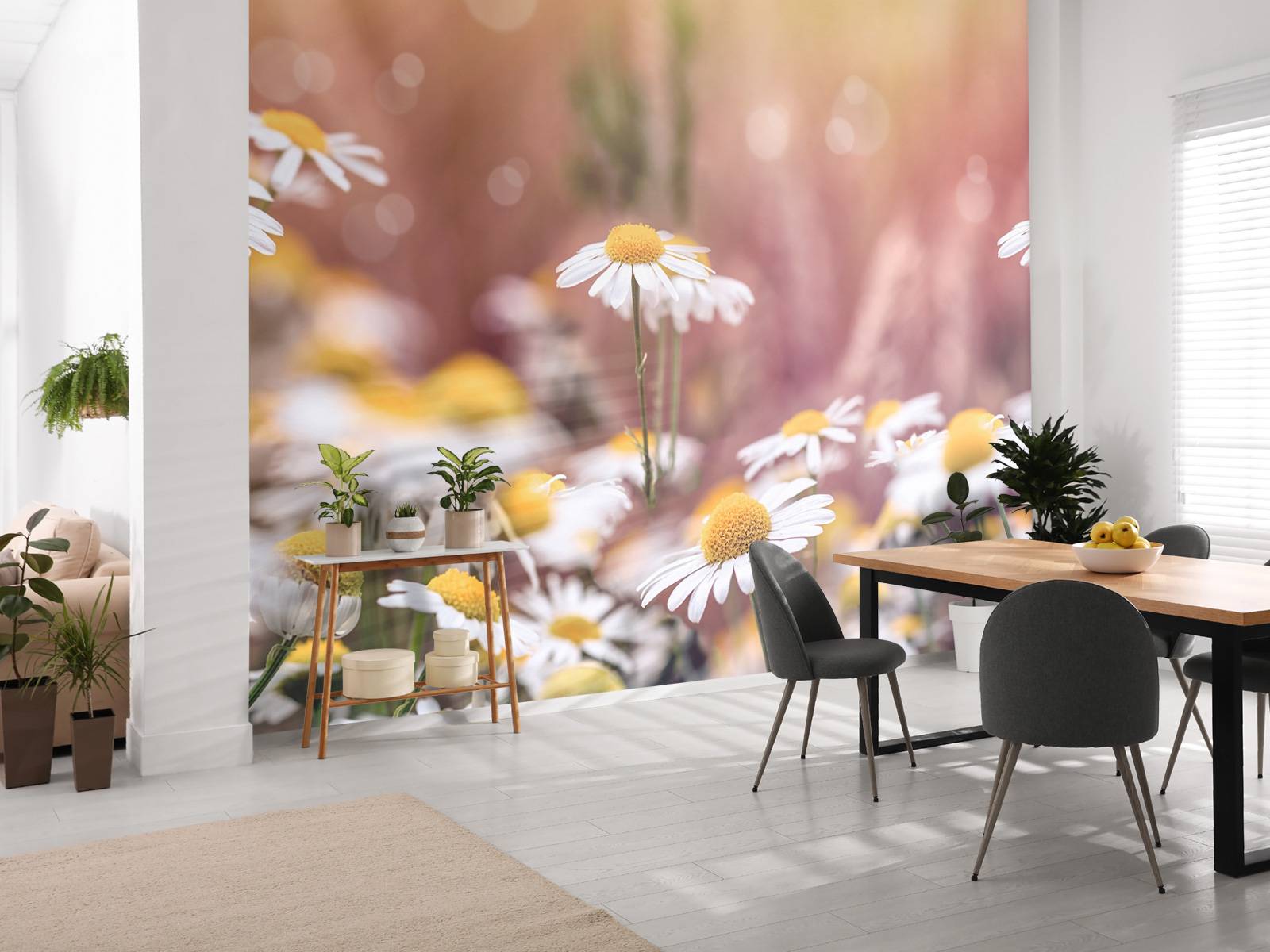 Field of Daisies