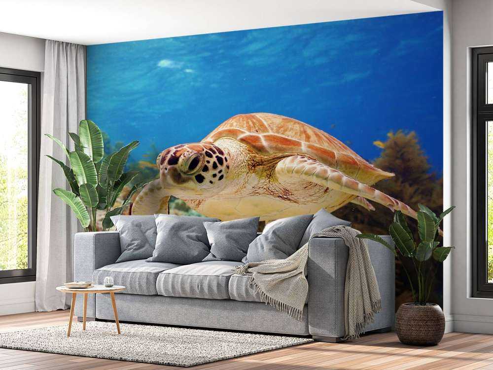 Groene zeeschildpad aan het zwemmen